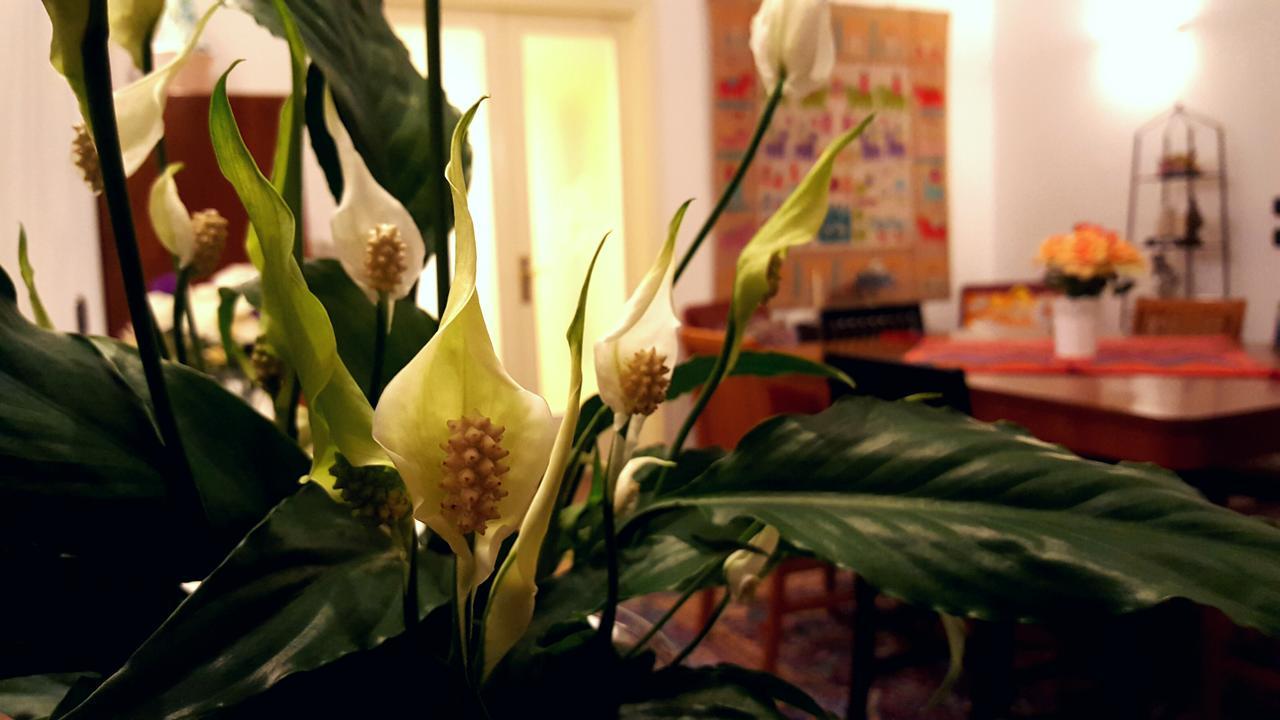 Bed and Breakfast Attico Barocco Lecce Exteriér fotografie
